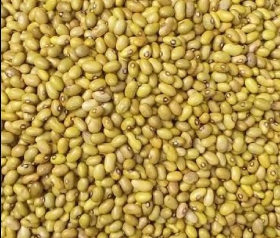 Yellow Beans from Kenya